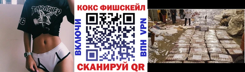КОКАИН FishScale Димитровград