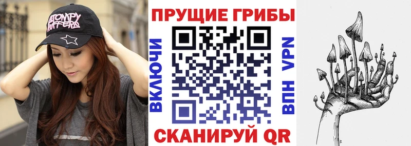 магазин продажи наркотиков  Димитровград  Псилоцибиновые грибы Psilocybe 