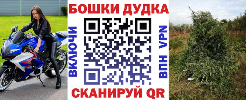 KRAKEN ссылки  наркошоп  Димитровград  Конопля марихуана 
